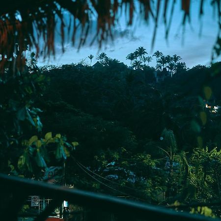 Blue Pepper Beds Sayulita Pansiyon Dış mekan fotoğraf